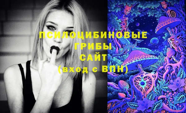 ПСИЛОЦИБИНОВЫЕ ГРИБЫ Каменск-Шахтинский