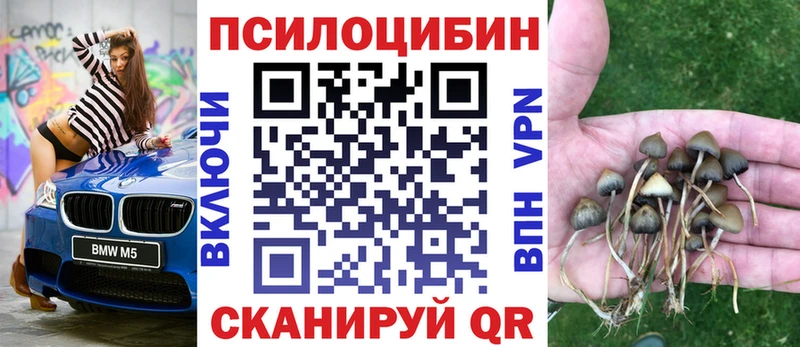 Псилоцибиновые грибы Cubensis  Нерчинск 